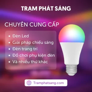 Nơi nhập dữ liệu