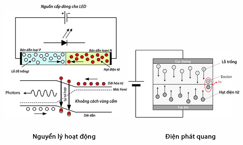 Mua Đèn LED uy tín, chất lượng tại TP.HCM (2)