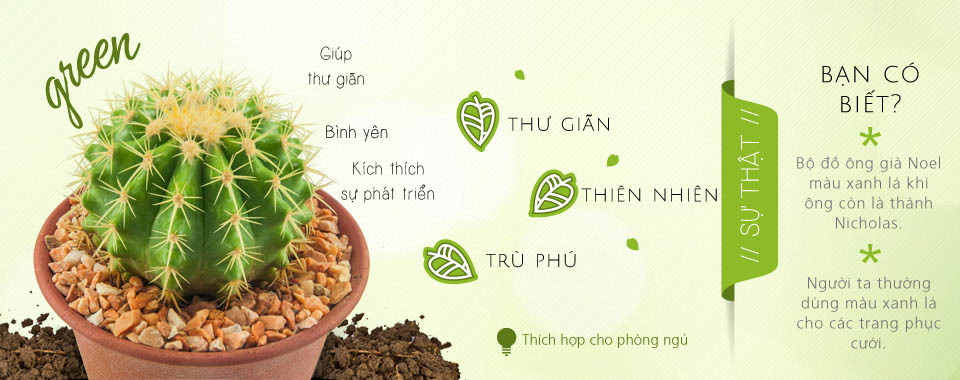 Màu sắc trong chiếu sáng: Chìa khóa tác động đến cảm xúc con người (3)