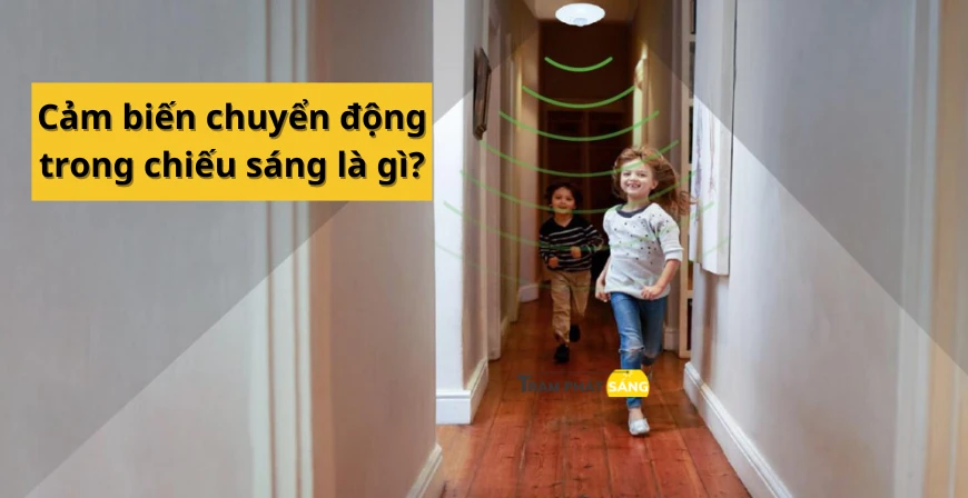 Cảm Biến Chuyển Động Là Gì? Ứng Dụng Trong Chiếu Sáng Thế Nào?