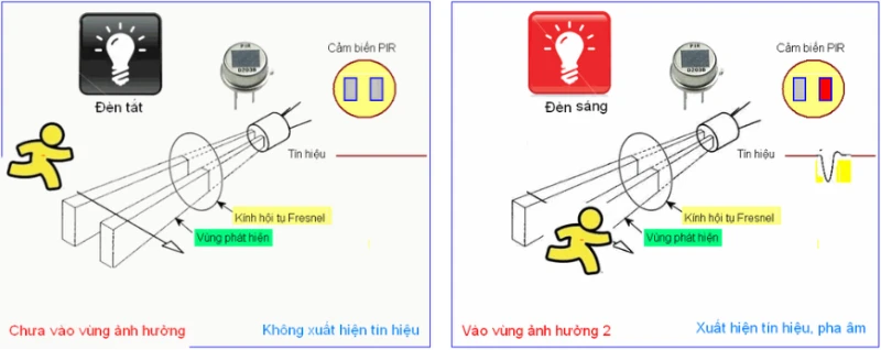 Cảm Biến Chuyển Động Là Gì? Ứng Dụng Trong Chiếu Sáng Thế Nào? (1)