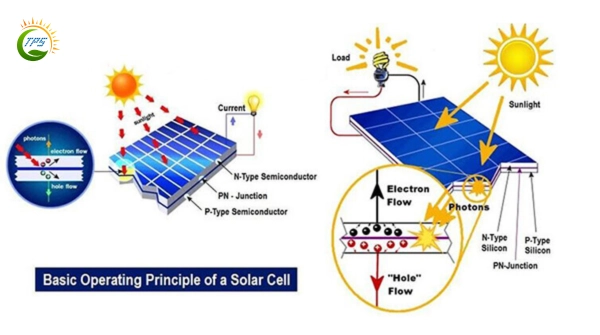 Cách hoạt động pin năng lượng mặt trời chuyển đổi điện năng (2)